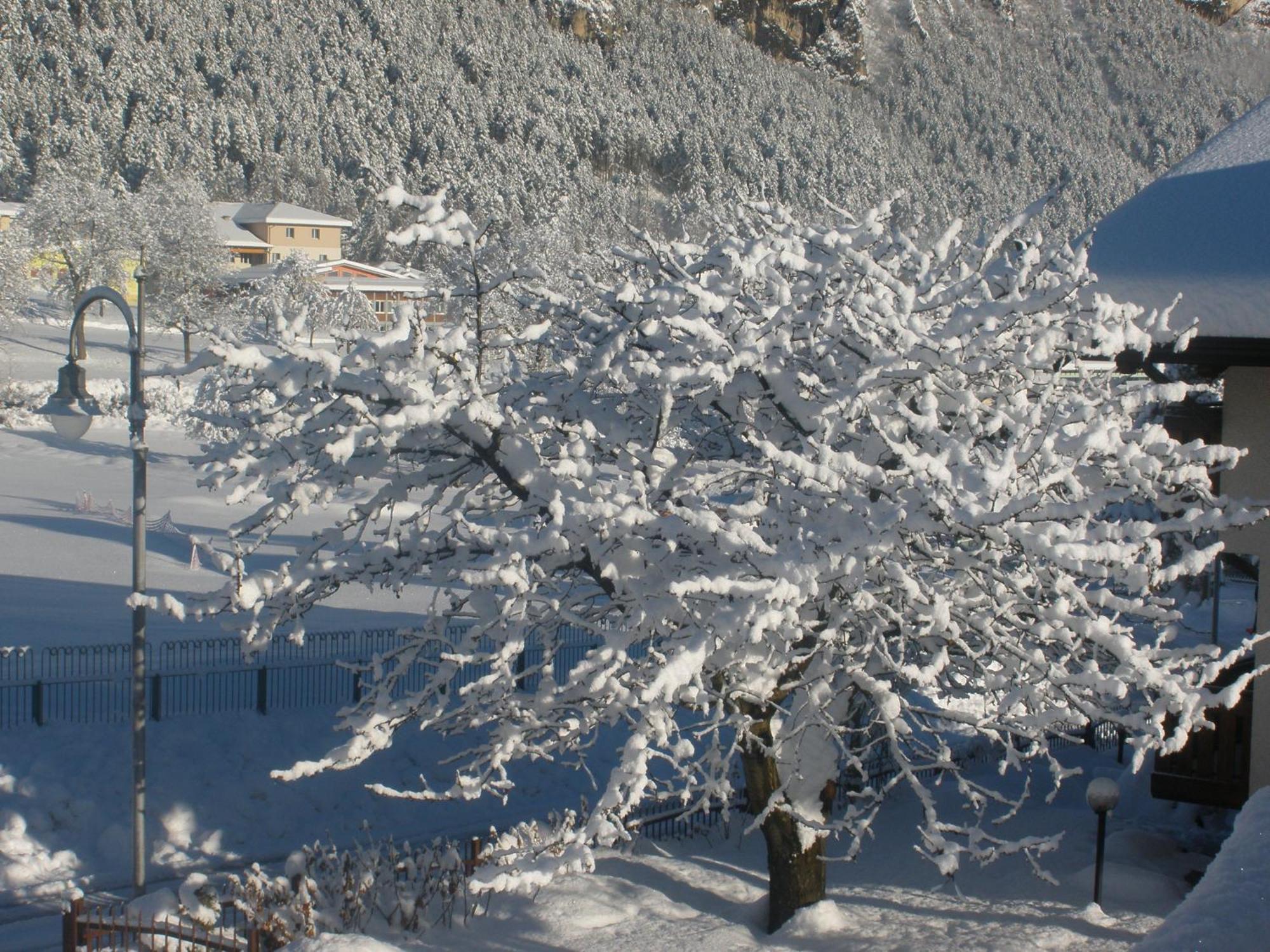 Casa Pallanch Fai della Paganella Extérieur photo